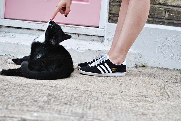 adidas gazelle avec robe adidas gazelle avec robe